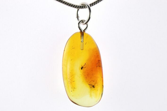 Polished Baltic Amber Pendant (Necklace) - Contains Flies! #273488